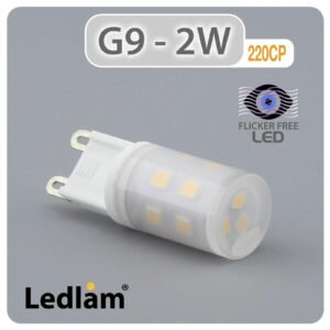 G9 LED Capsule Bulb 2W 220CP